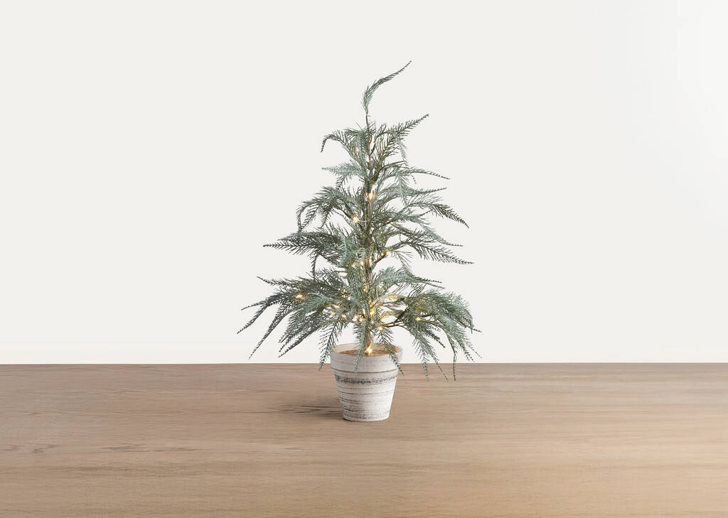 Arbre moyen Wonderland