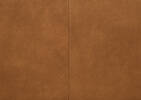 Nicolo Leather Sofa -Dutton Cinnamon