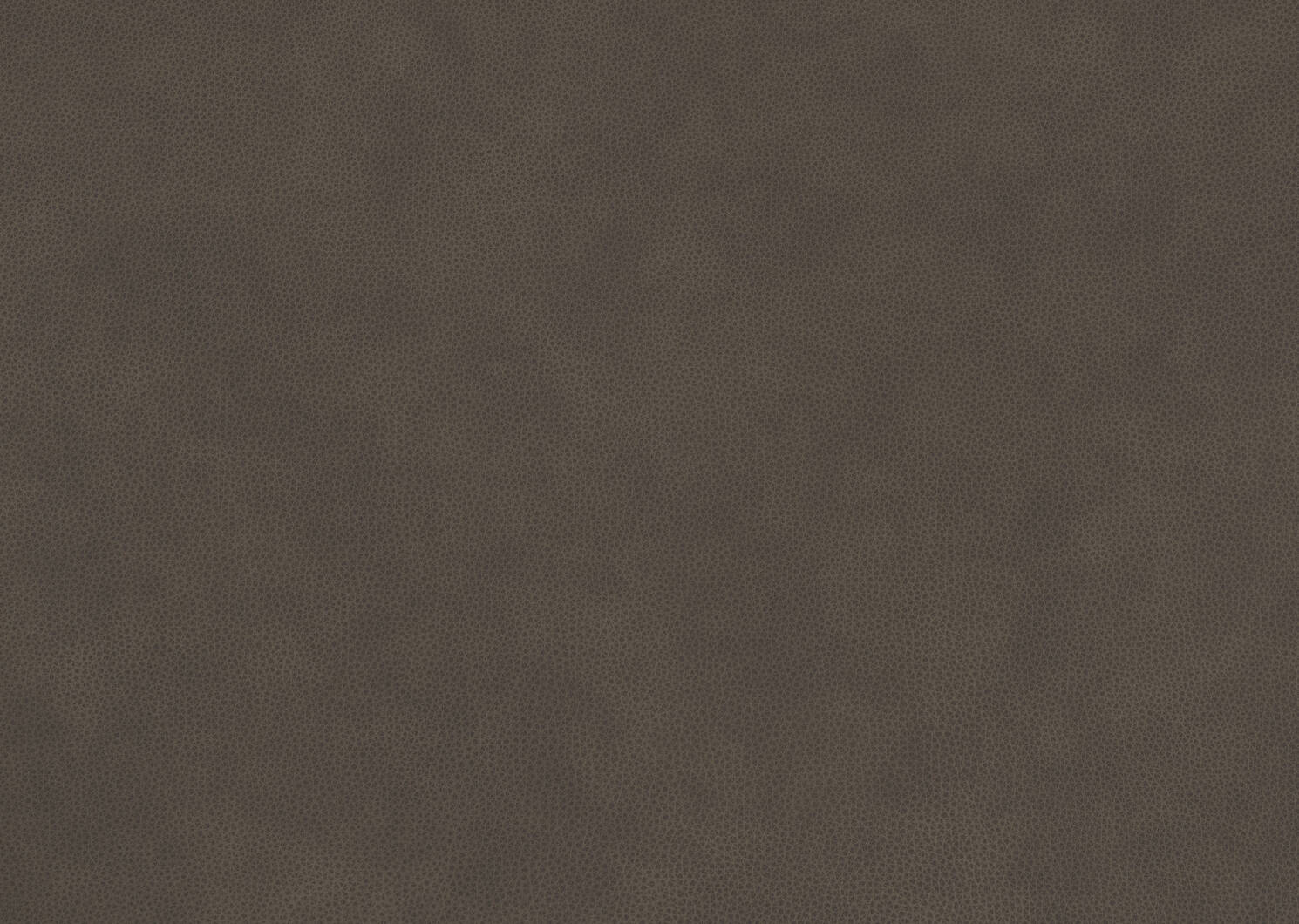 Maurizio Lthr Dining Chair -Torino Ash