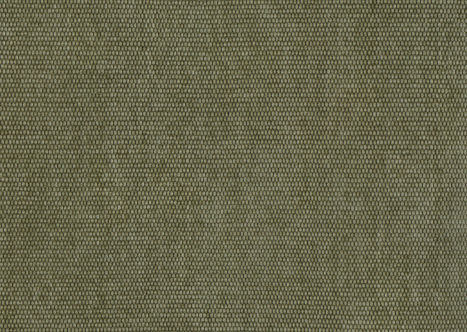 Rideau Darcy 96 sauge