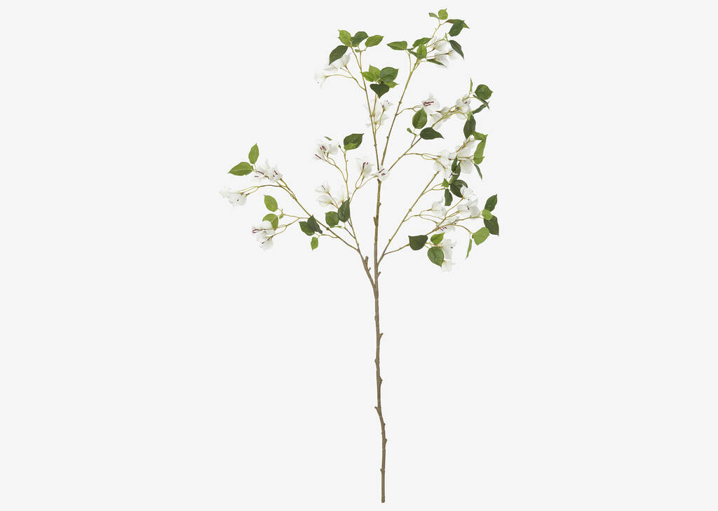 Branche de bougainvilliers Desi blancs