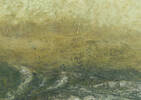 Swansea Wall Art