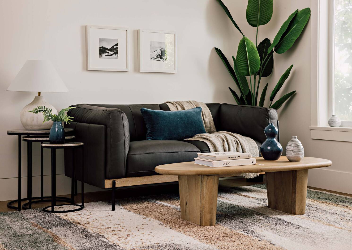 Tr&egrave;s grand arbre du voyageur en pot Kani