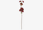 Tige de fleurs d’automne Ricki rouges