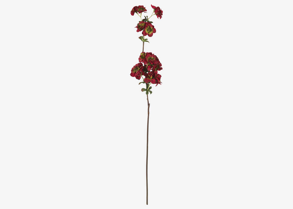 Tige de fleurs d’automne Ricki rouges