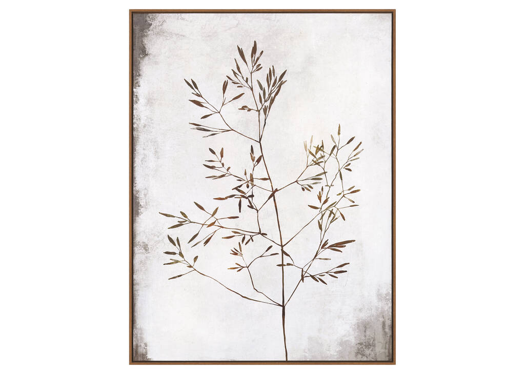 Toile Sprout
