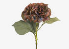 Adell Hydrangea Antique Brown