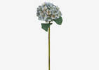 Gretel Hydrangea Stem Blue