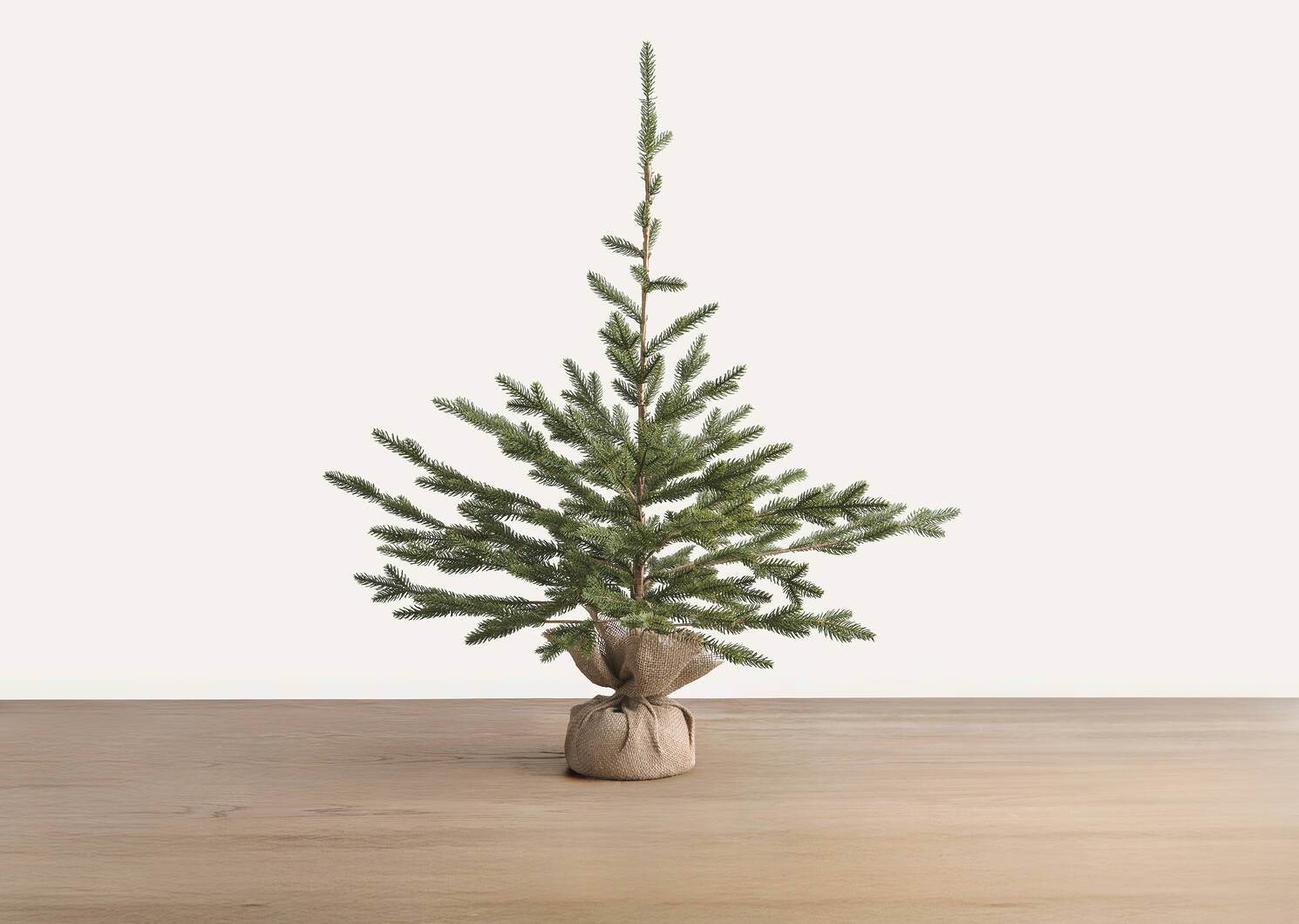 Grand arbre en pot Fernie