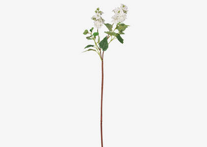 Domenica Lilac Branch