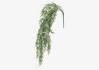 Sweet Annie Hanging Branch
