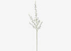 Liza Dancing Orchid Branch Ivory