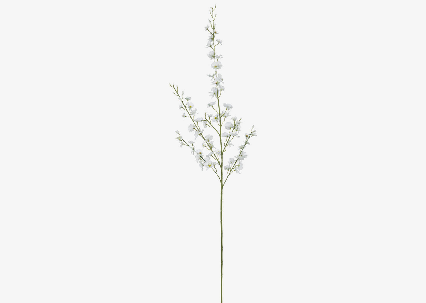 Liza Dancing Orchid Branch Ivory