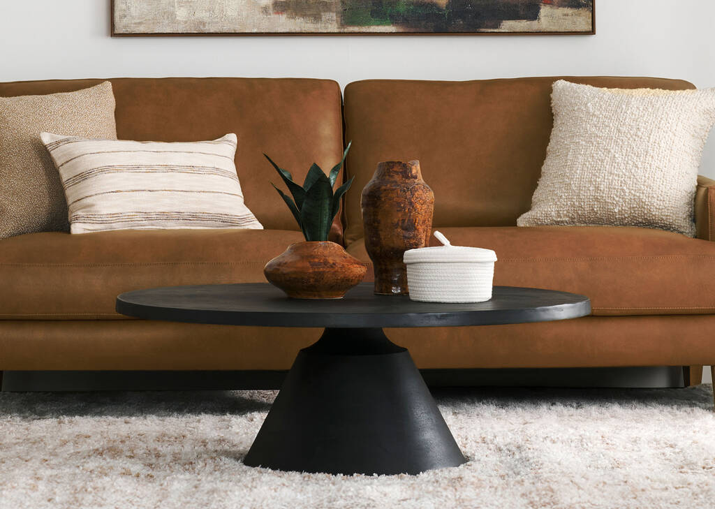 Greer Snake Plant Potted