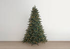 Sapin pré-illuminé Garibaldi 8 pi vert