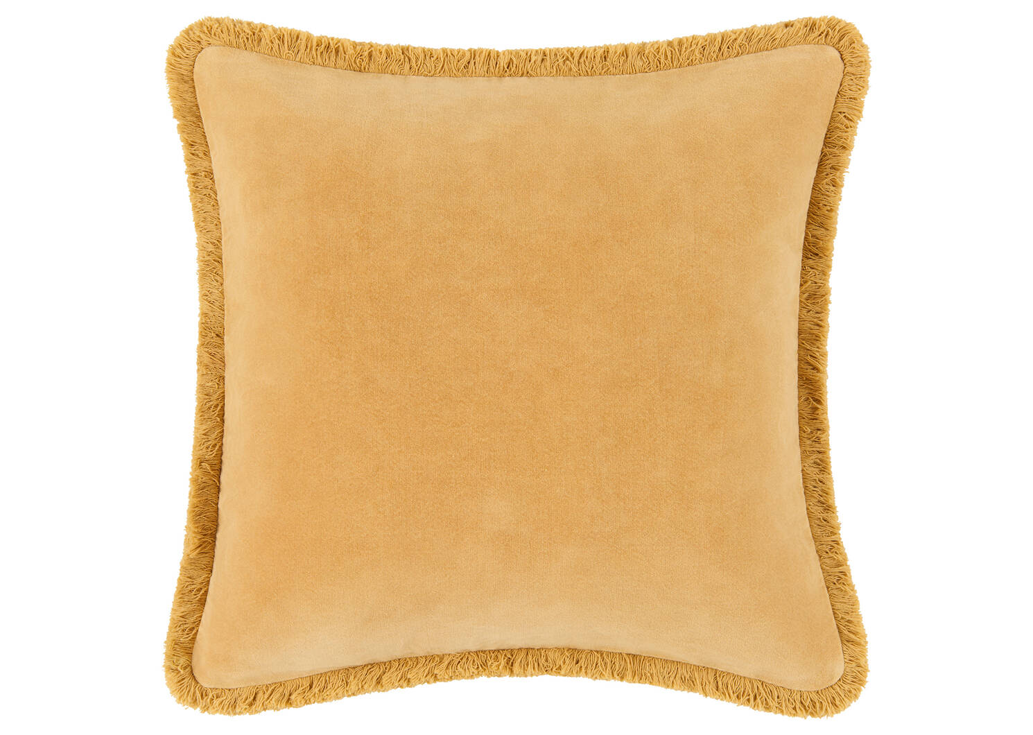 Aline Velvet Pillow 20x20 Harvest
