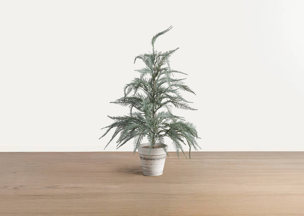 Arbre moyen Wonderland
