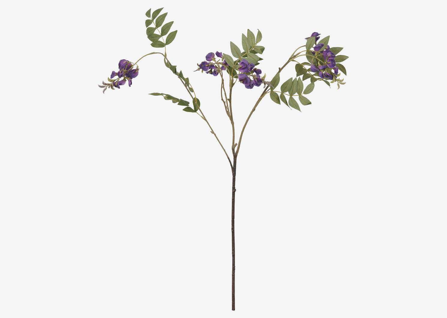 Byer Wisteria Branch Purple