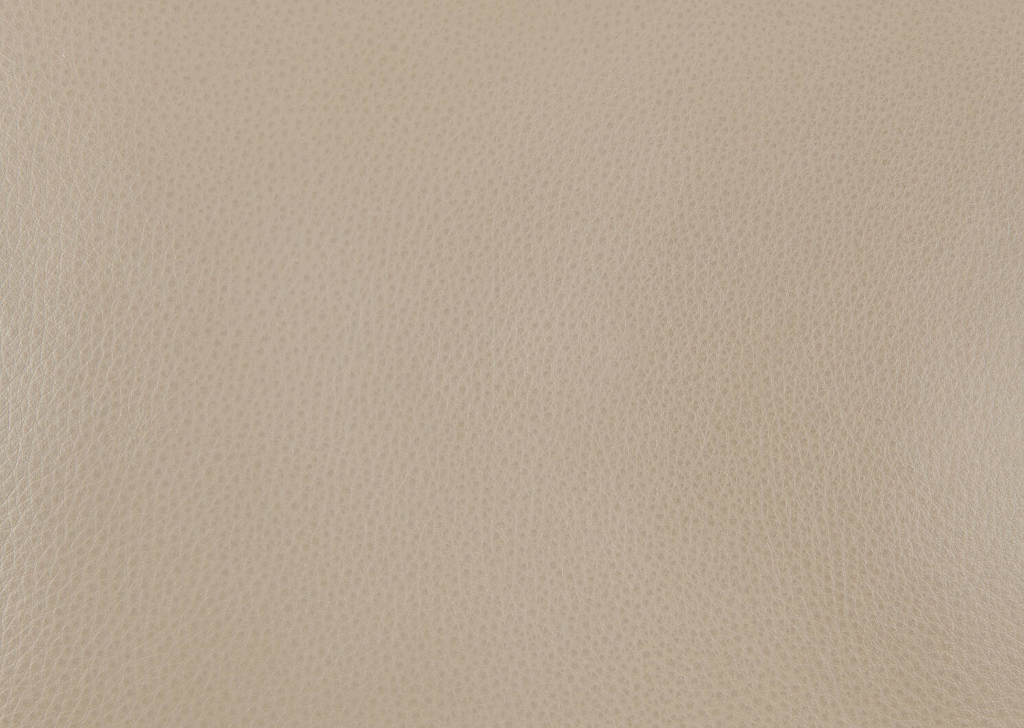 Esmae Leather Dining Chair -Reede Stone