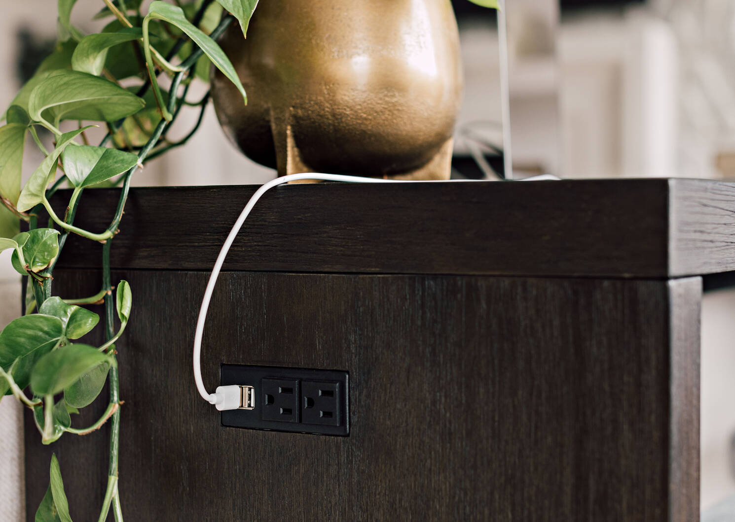 Belmont Counter Console -Morel Pepper