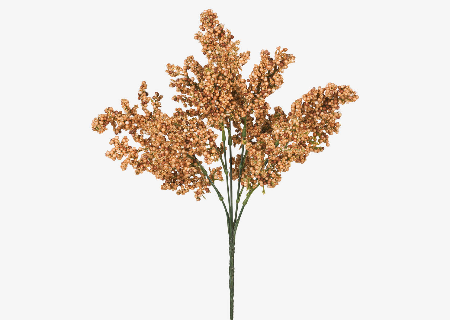 Branche de fleurs fructifiées Esther car