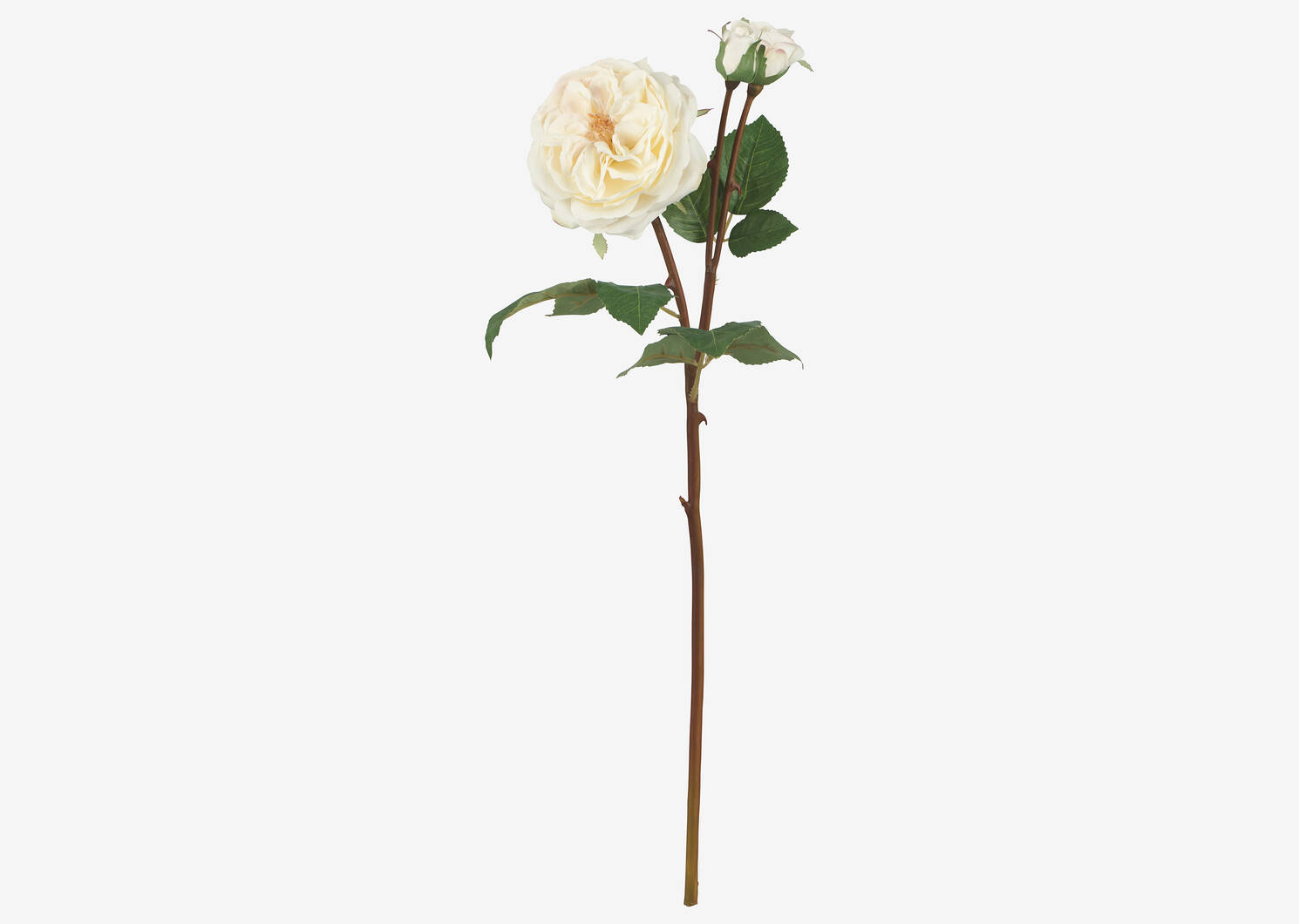 Branche de roses Talia blanches