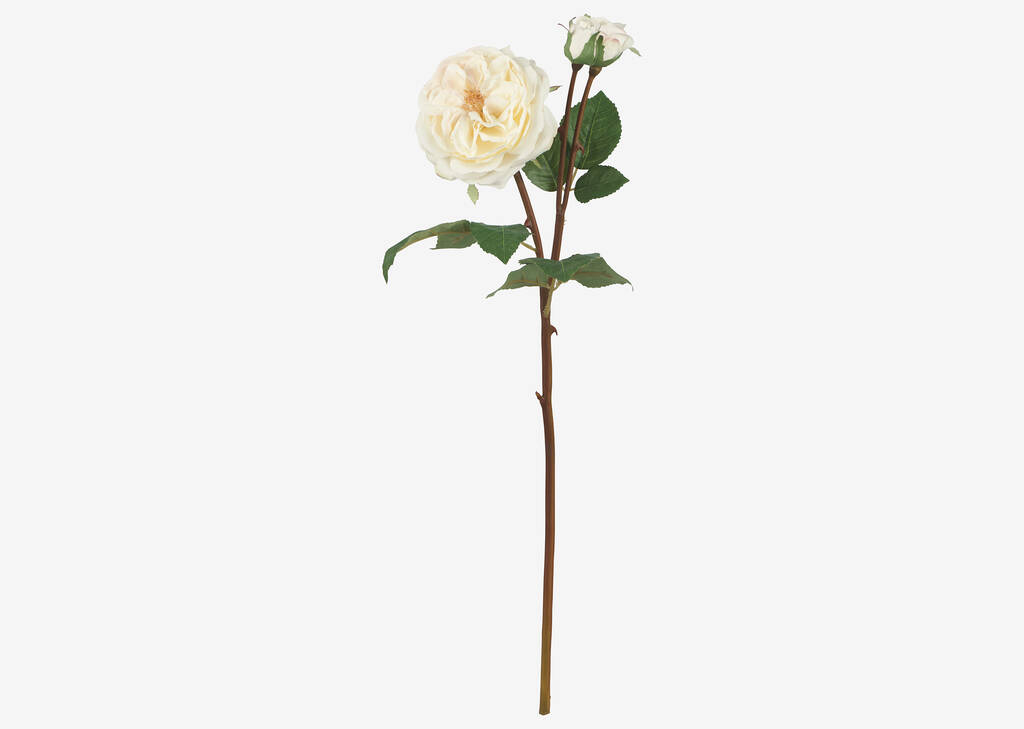Branche de roses Talia blanches