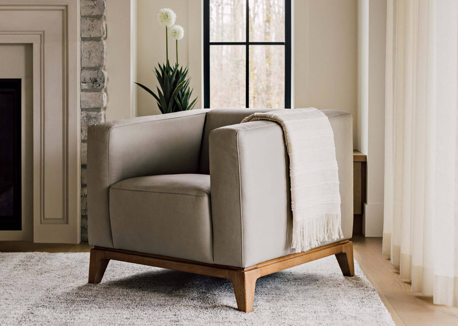 Chrysanth&egrave;me Pom Pom Mum en pot