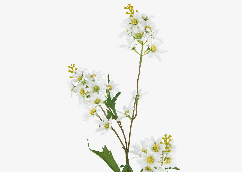 Tige de fleurs Mandi blanches