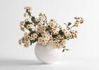 Tige de fleurs de cerisier Kya ivoire