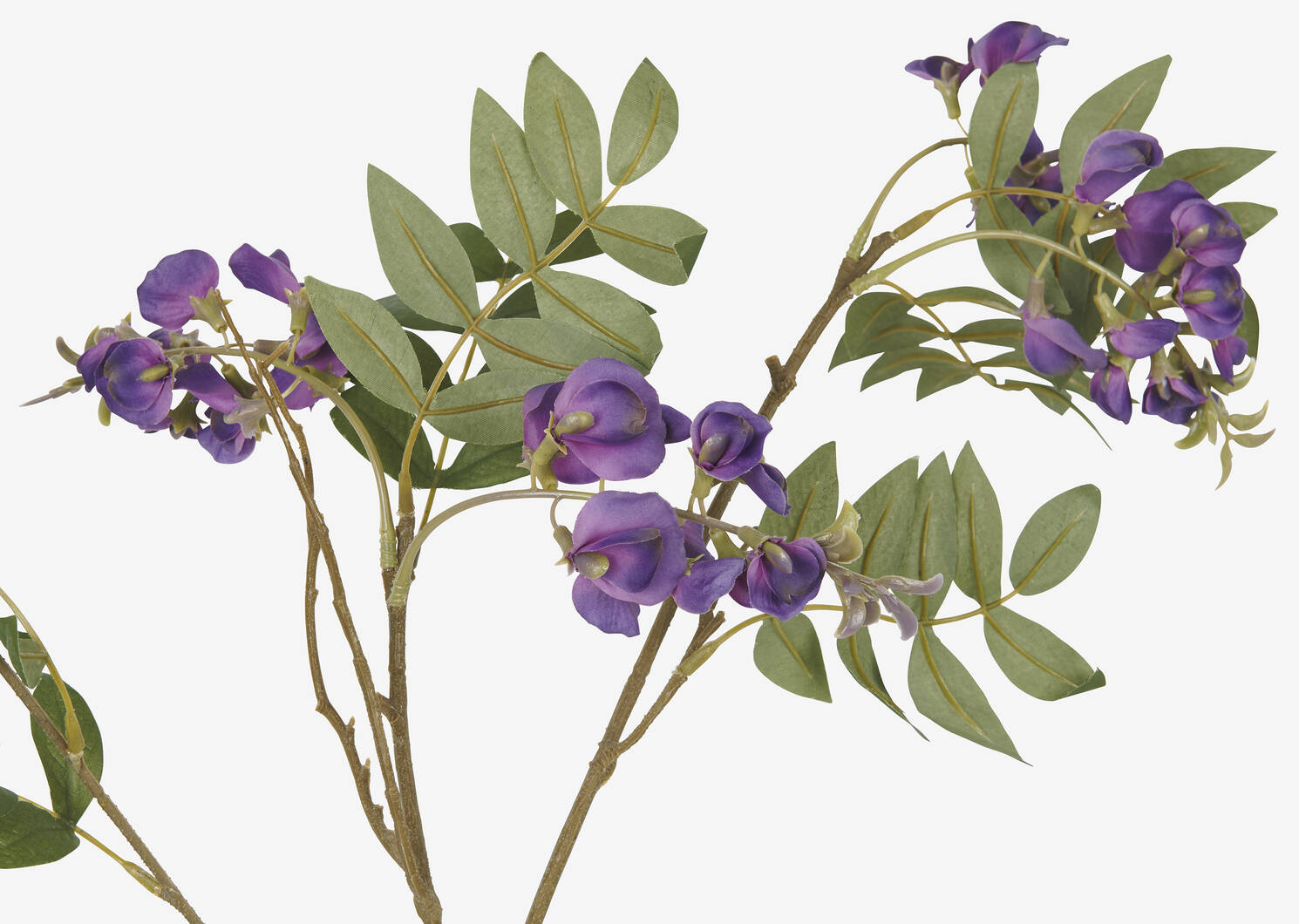 Byer Wisteria Branch Purple