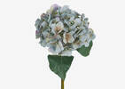 Gretel Hydrangea Stem Blue