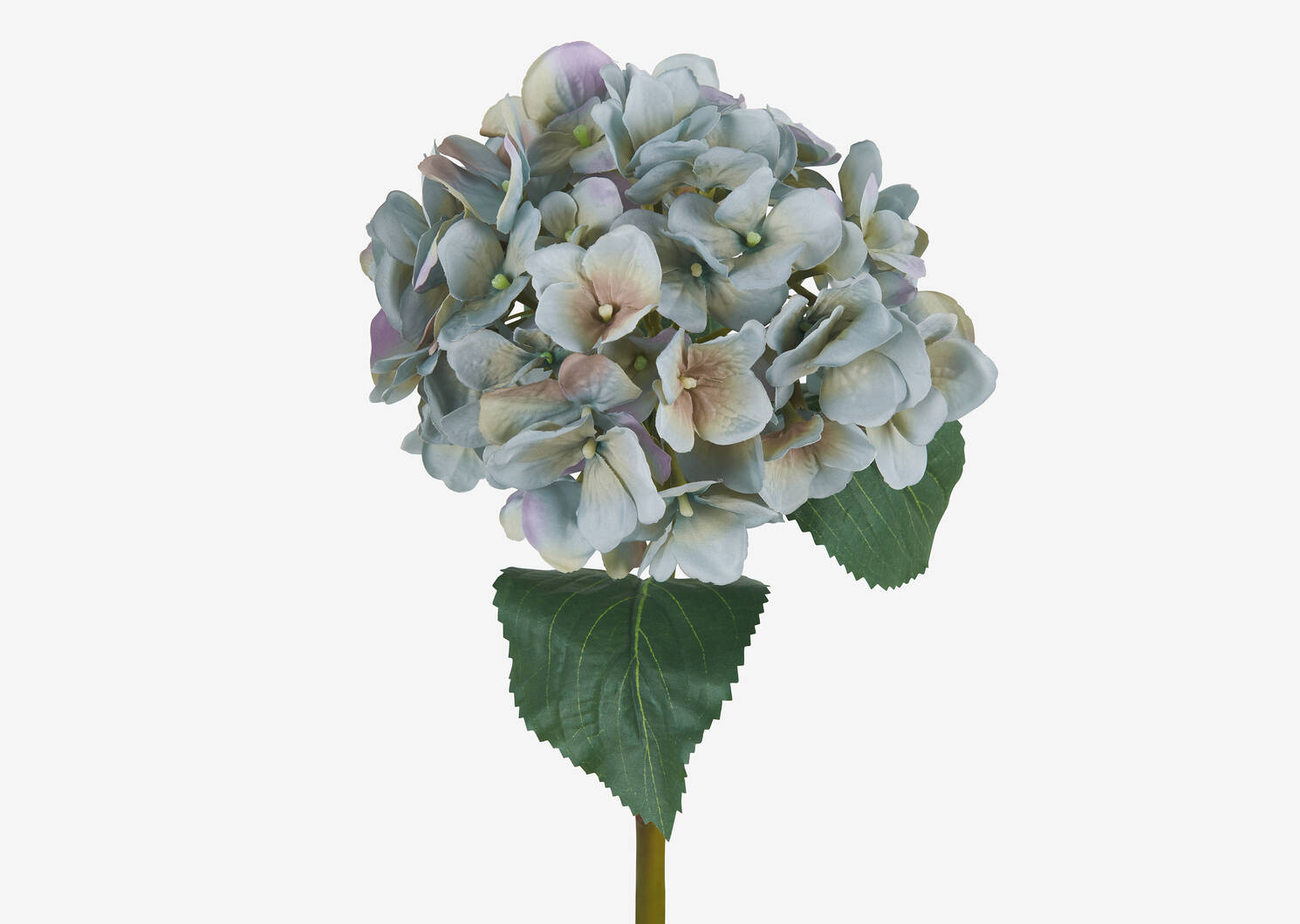 Gretel Hydrangea Stem Blue