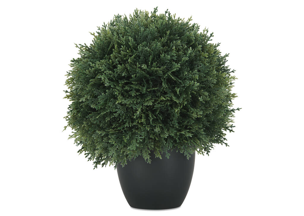 Boule de cèdre en pot Cedar Ball