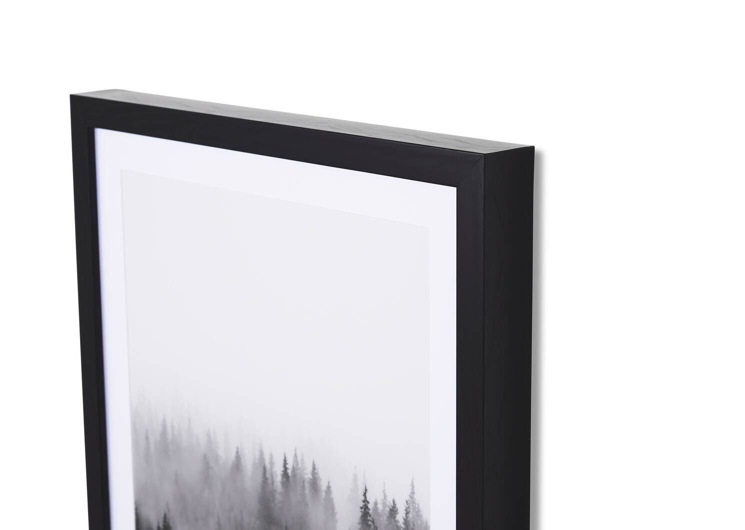 Treetops Framed Print