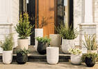 Toth Outdoor Planters