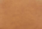 Welles Leather Dining Chair -Olson Camel