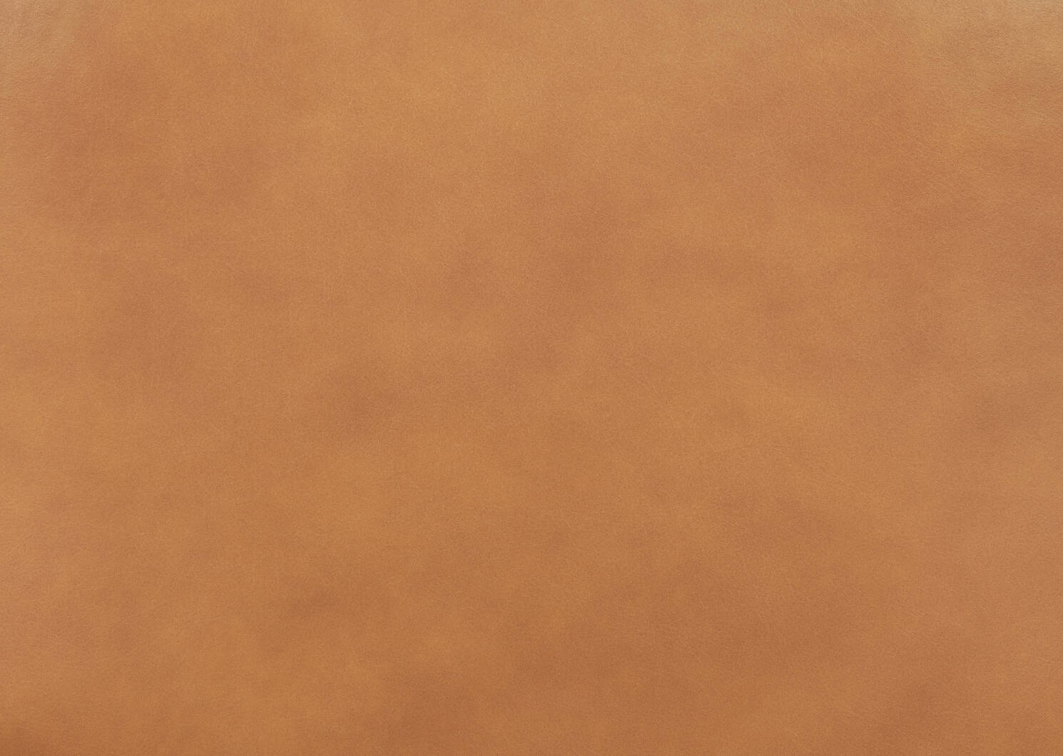 Welles Leather Dining Chair -Olson Camel