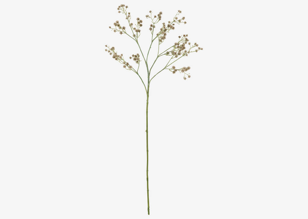 Tige de fleurs Carissa vertes