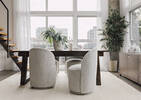 Ficus en pot Claude
