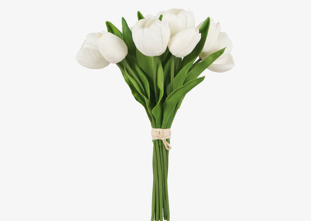 Agnes Tulip Bunch White