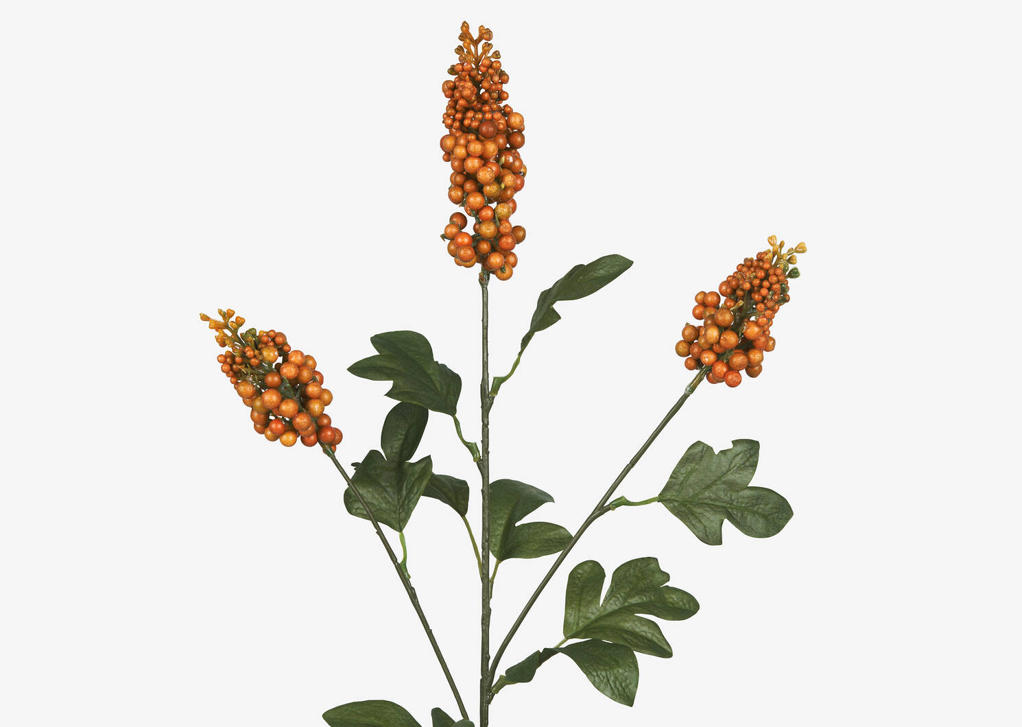 Scarlett Firethorn Stem Orange