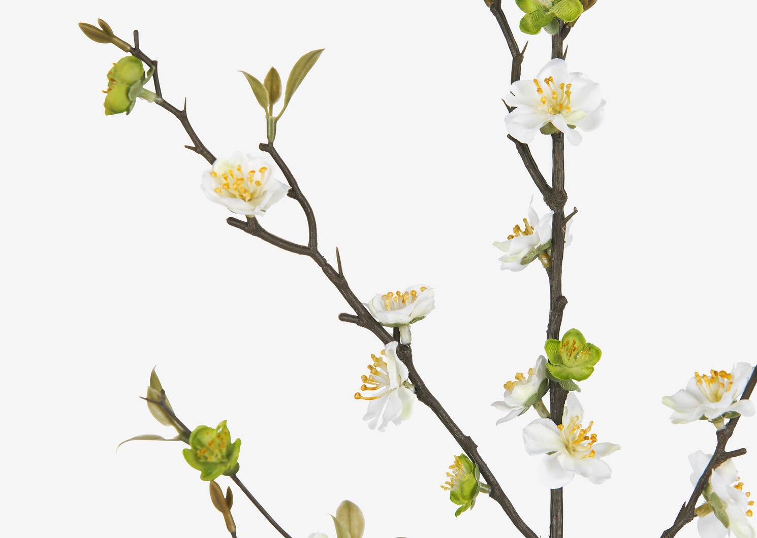 Aliana Plum Blossom Branch
