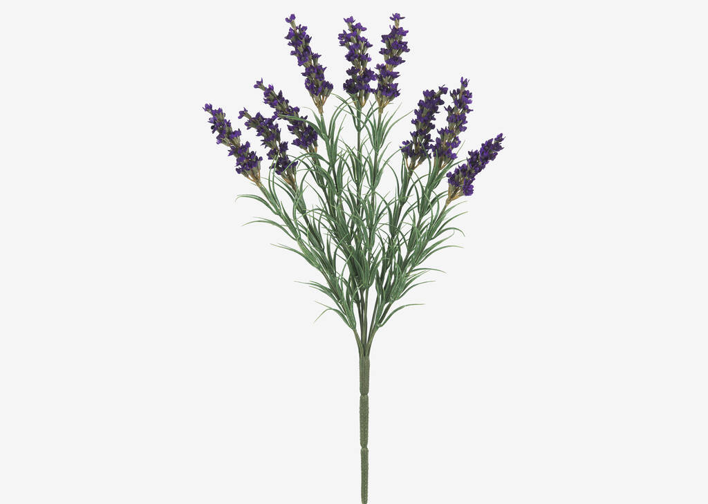 Hope Lavender Branch