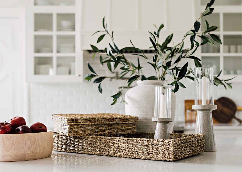 Tige de laurier Elena