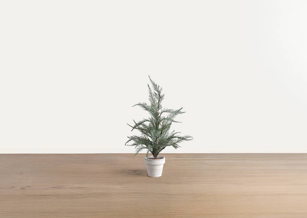 Petit arbre Wonderland