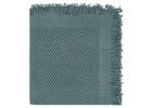 Holmes Throw Pond