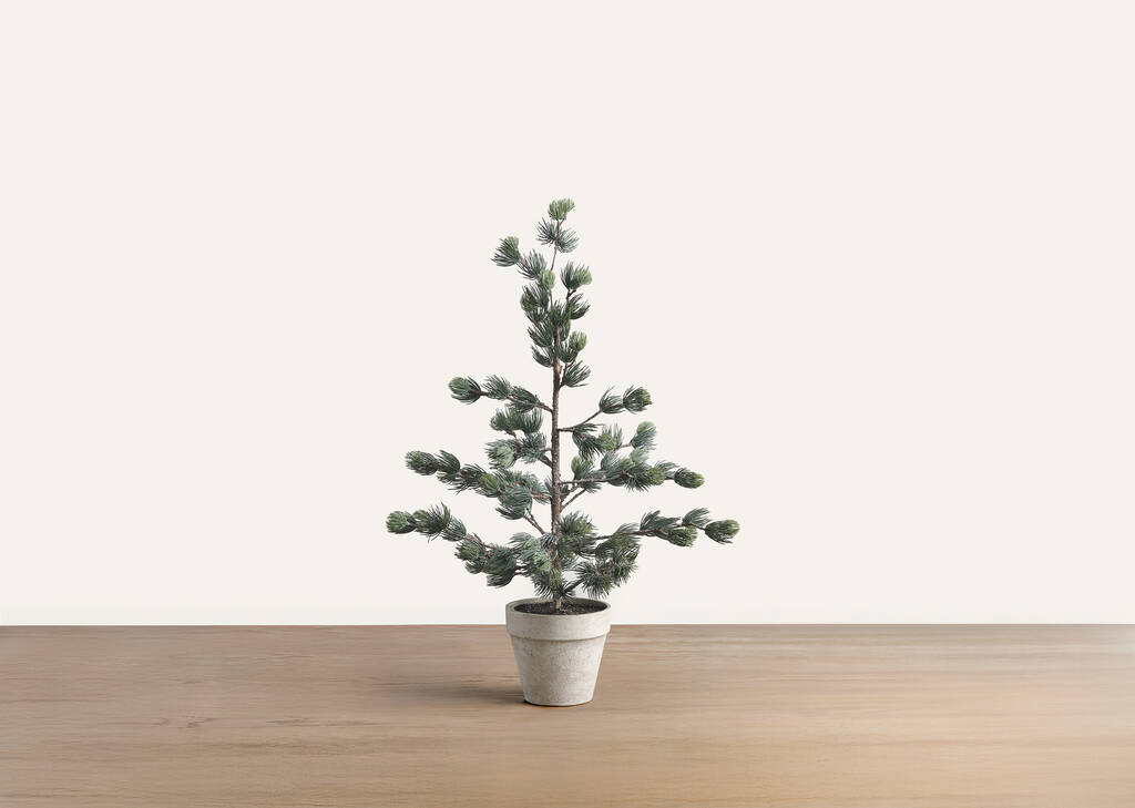 Petit arbre en pot Tremblant