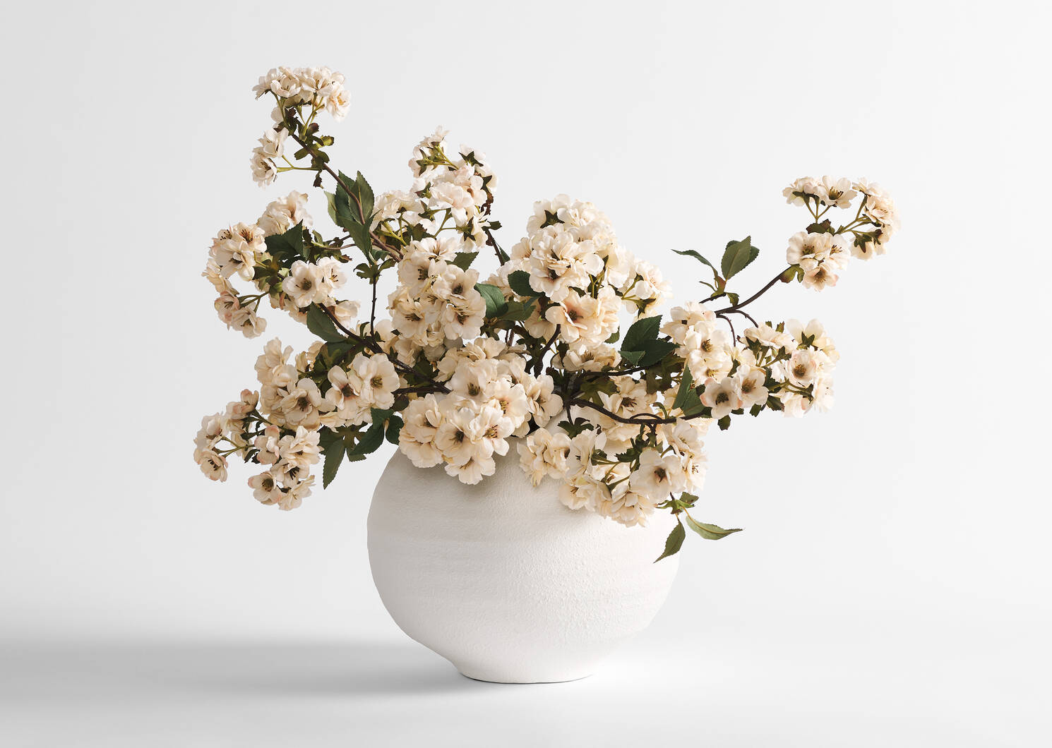 Vase Canyon et tiges de fleurs de cerisier Kya