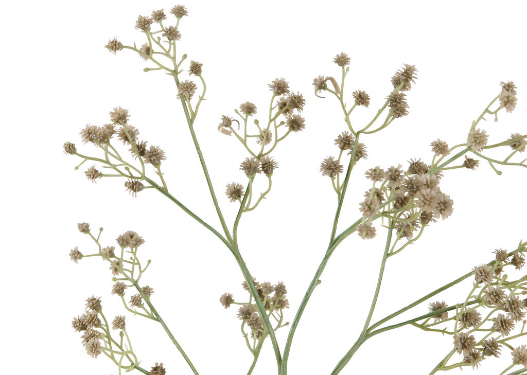 Tige de fleurs Carissa vertes